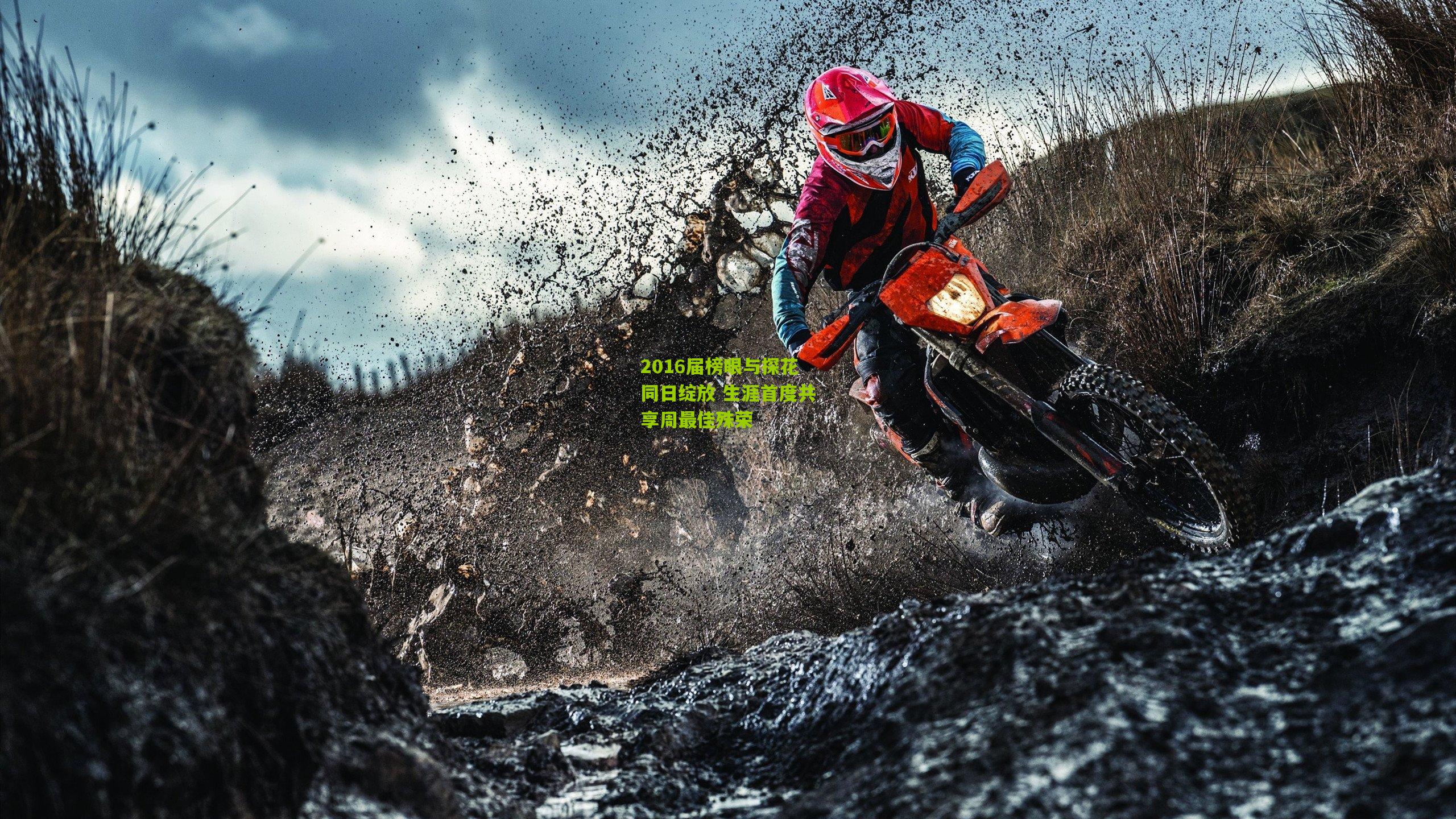 2016届榜眼与探花同日绽放 生涯首度共享周最佳殊荣