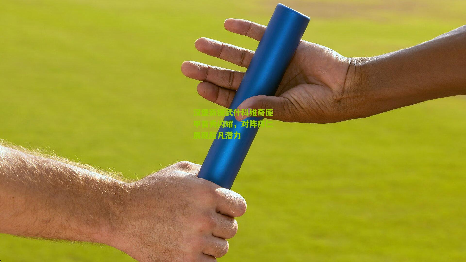 汉堡新援武什科维奇德甲首秀闪耀,对阵拜仁展现超凡潜力